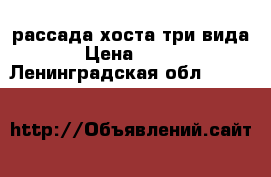 рассада хоста три вида › Цена ­ 250 - Ленинградская обл.  »    